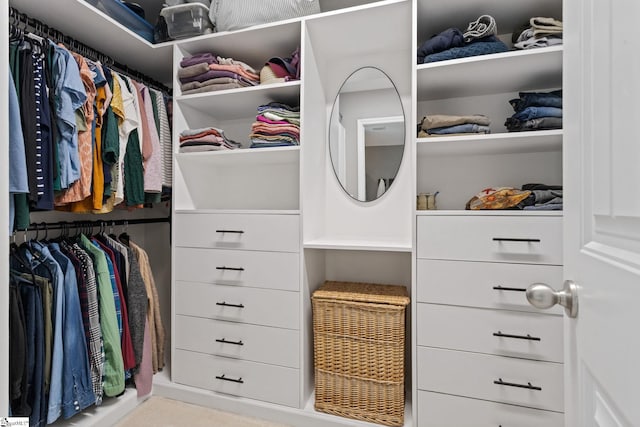 view of spacious closet