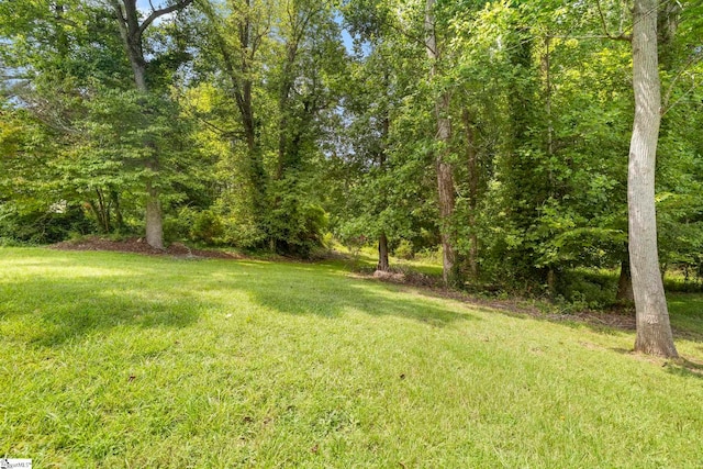 111 Woodvale Ave, Fountain Inn, SC 29644 - view of grassy yard
