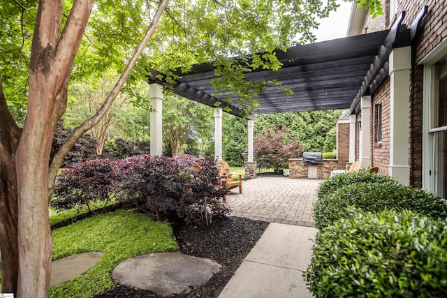 5 Marlis Ct, Greer, SC 29650 - view of yard featuring area for grilling, a pergola, and a patio area