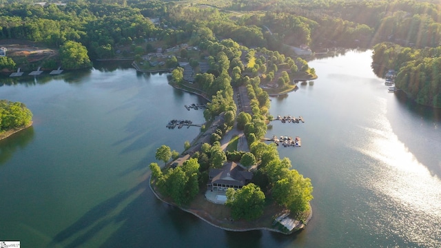 1230 Melton Rd Unit # 16, West Union, SC 29696 - aerial view of a large body of water and a forest