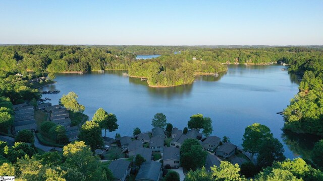 1230 Melton Rd Unit # 16, West Union, SC 29696 - view of property location featuring a forest and a nearby body of water