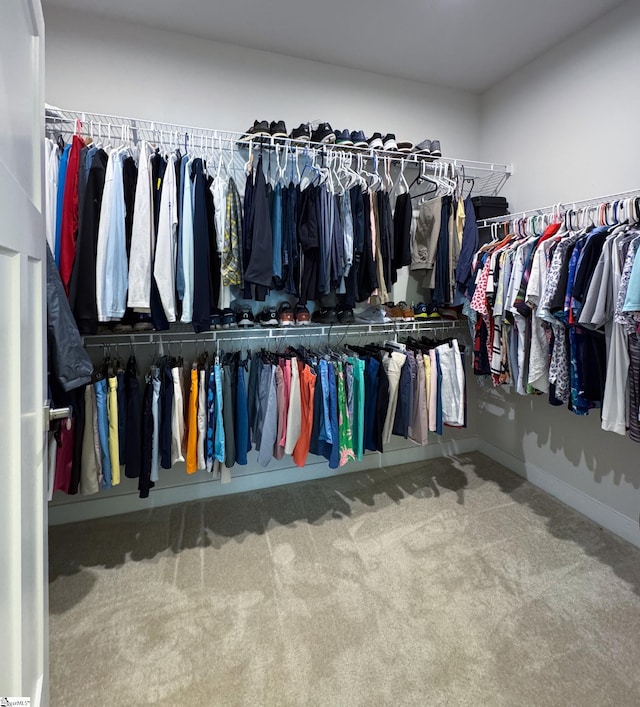 walk in closet featuring carpet floors