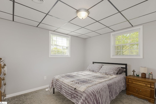 bedroom with carpet flooring, multiple windows, a drop ceiling, and baseboards