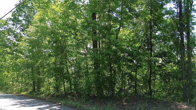 611 Packs Mountain Ridge Rd, Taylors, SC 29687