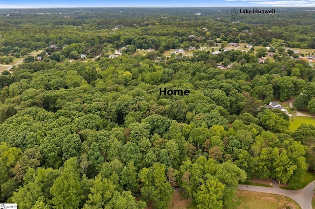 drone / aerial view of a forest