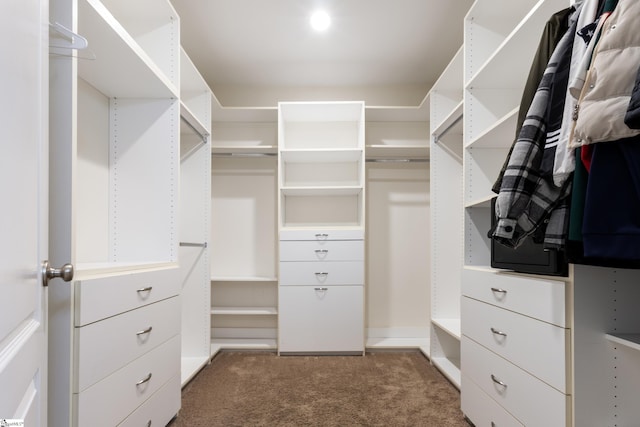 208 Medoc Ln, Moore, SC 29369 - walk in closet featuring carpet floors