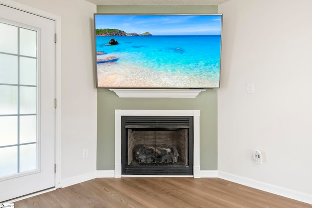330 Split Oak Ln, Inman, SC 29349 - detailed view of wood finished floors, baseboards, and a fireplace