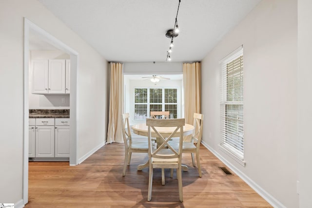 330 Split Oak Ln, Inman, SC 29349 - dining space with light wood-type flooring, baseboards, and rail lighting