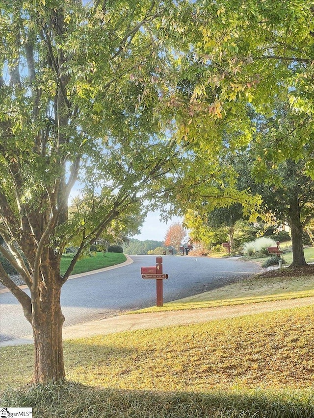 view of home's community