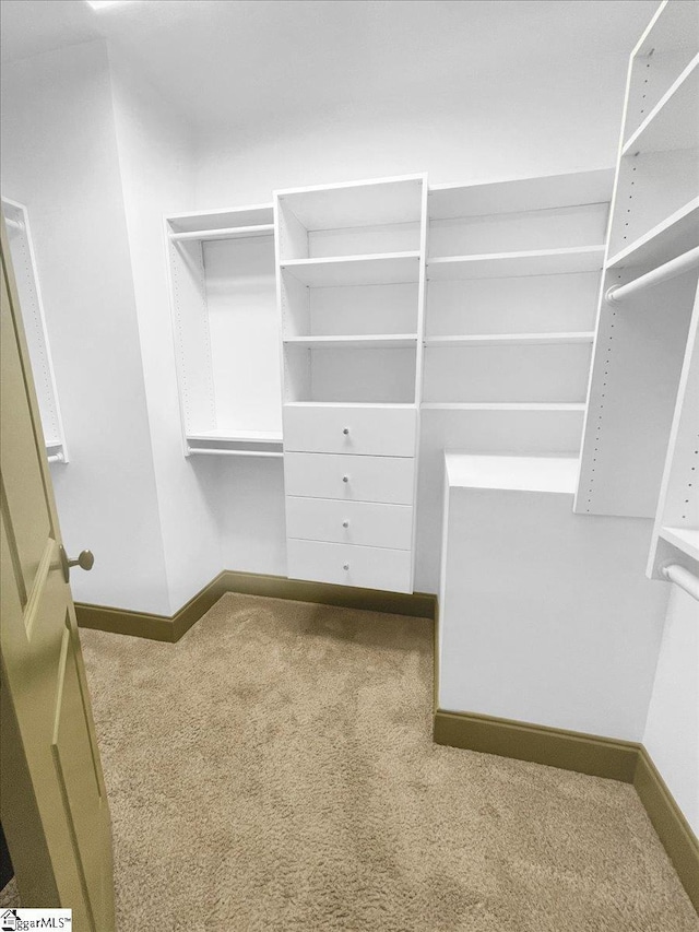 spacious closet with carpet floors