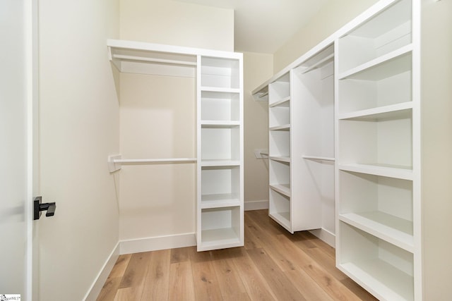 walk in closet with light wood-type flooring