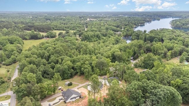 bird's eye view of a forest and a large body of water