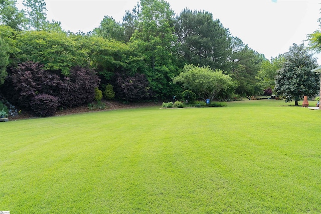 view of green lawn featuring view of scattered trees