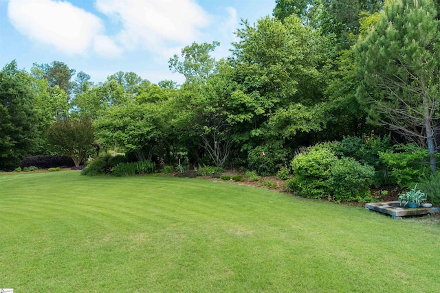 view of green lawn