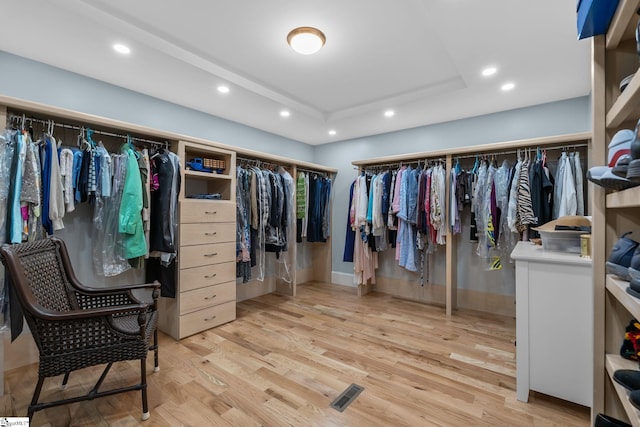 155 Mountain Lake Dr, Piedmont, SC 29673 - spacious closet featuring light wood finished floors and a raised ceiling