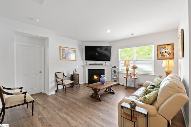 51 Oak Edge Ln, Greer, SC 29651 - living area featuring a warm lit fireplace, wood finished floors, baseboards, and recessed lighting
