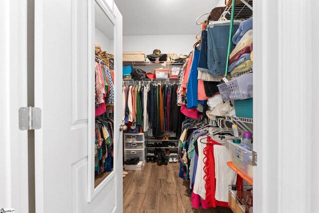 51 Oak Edge Ln, Greer, SC 29651 - walk in closet with wood finished floors