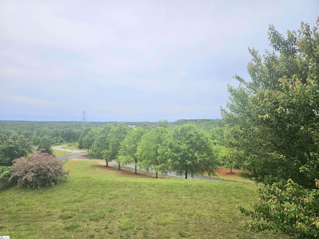 view of grassy yard with a view of rural / pastoral area
