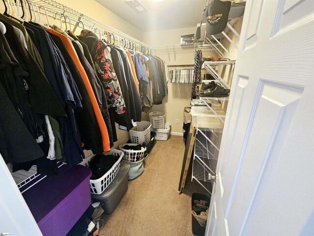 spacious closet with carpet