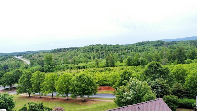 drone / aerial view of a heavily wooded area