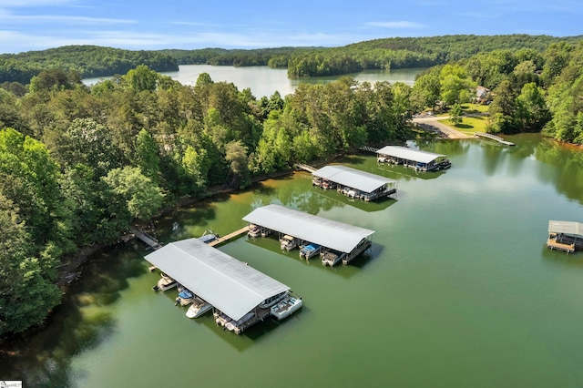 203 N Hogan Dr, Westminster, SC 29693 - drone / aerial view of a heavily wooded area and a large body of water