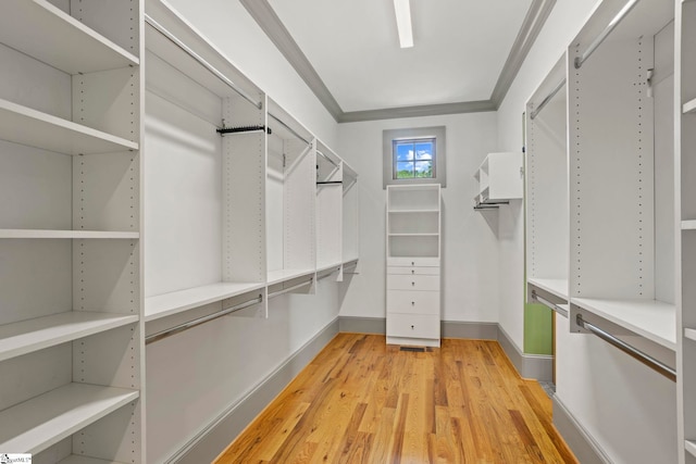 160 Mountain Brook Trl, Greenville, SC 29609 - spacious closet with light wood finished floors