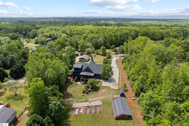 160 Mountain Brook Trl, Greenville, SC 29609 - bird's eye view of a forest