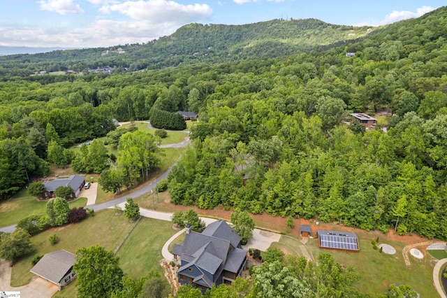 160 Mountain Brook Trl, Greenville, SC 29609 - aerial view of property's location featuring a heavily wooded area and a mountainous background