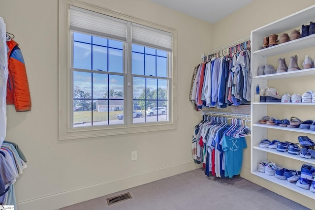 walk in closet with carpet