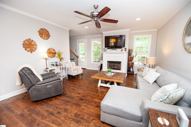 living area featuring wood finished floors, crown molding, baseboards, recessed lighting, and a fireplace