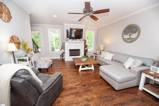 living room with crown molding, wood finished floors, ceiling fan, a fireplace with raised hearth, and baseboards