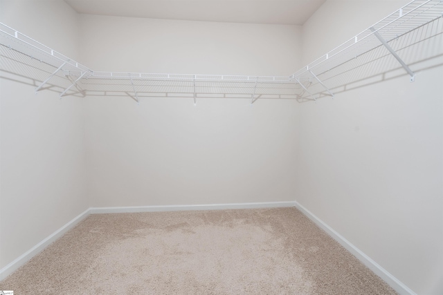 737 Rockhurst Way, Woodruff, SC 29388 - spacious closet with carpet floors