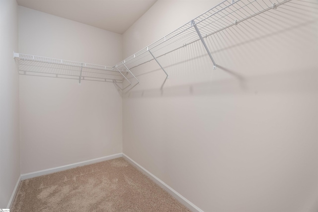 737 Rockhurst Way, Woodruff, SC 29388 - spacious closet with carpet