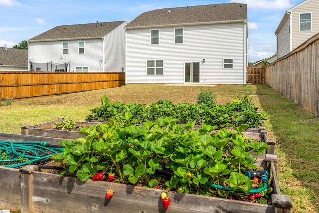 737 Rockhurst Way, Woodruff, SC 29388 - back of property with a vegetable garden