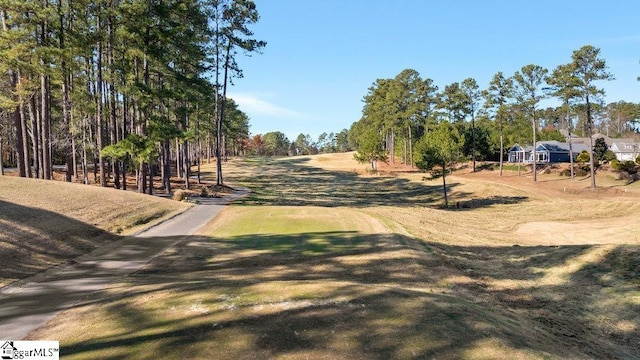 5 Laurelcrest Ln, Travelers Rest, SC 29690 - view of street
