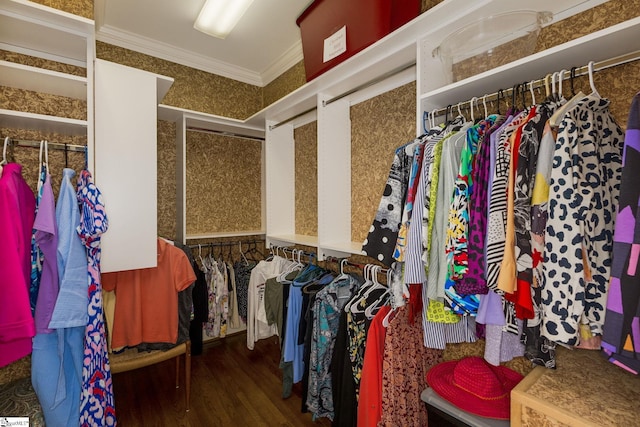 walk in closet featuring wood finished floors