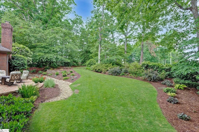 view of grassy yard