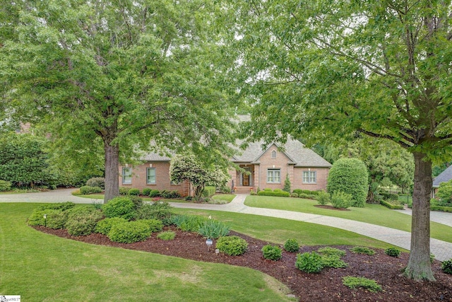 obstructed view of property with a front lawn and brick siding