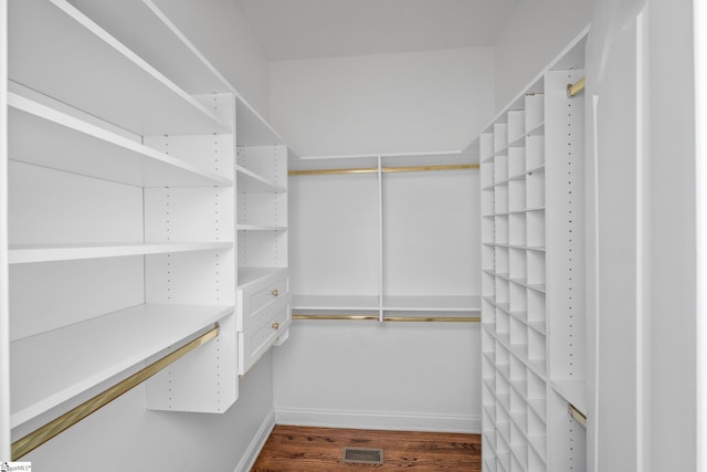 spacious closet featuring dark wood-style flooring