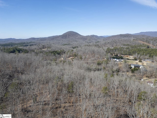 mountain view