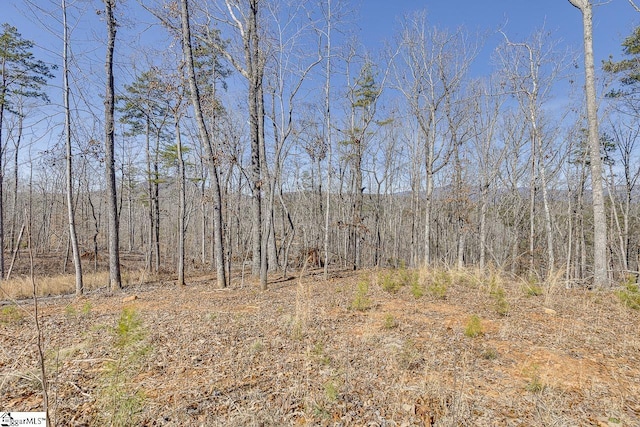 view of woods