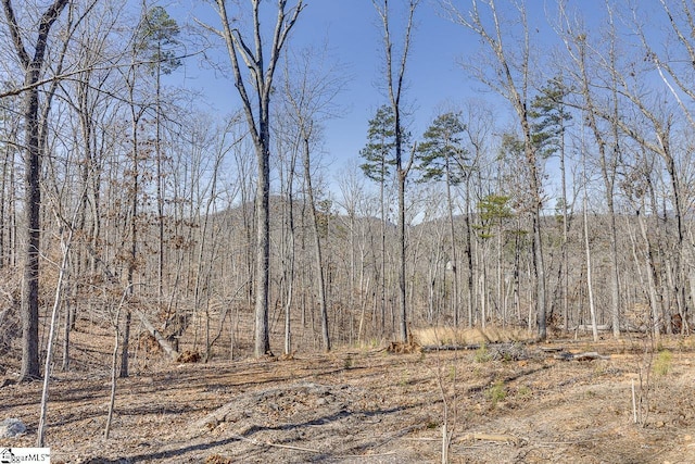 view of tree filled area