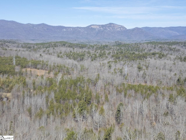 view of mountain background
