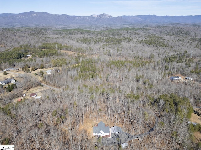 view of mountain background