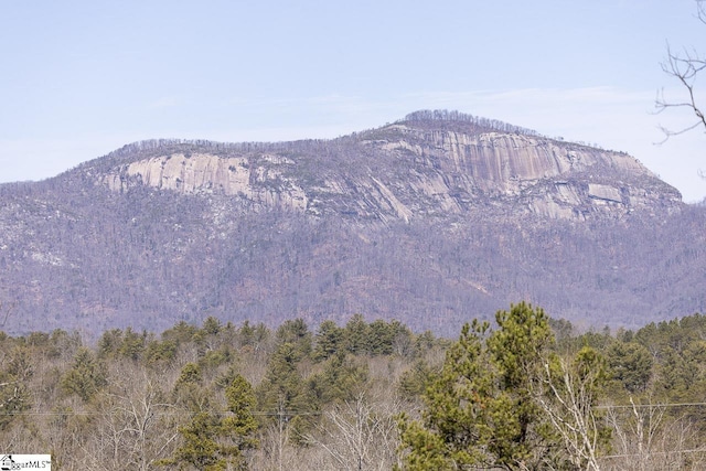 view of mountain background featuring a forest