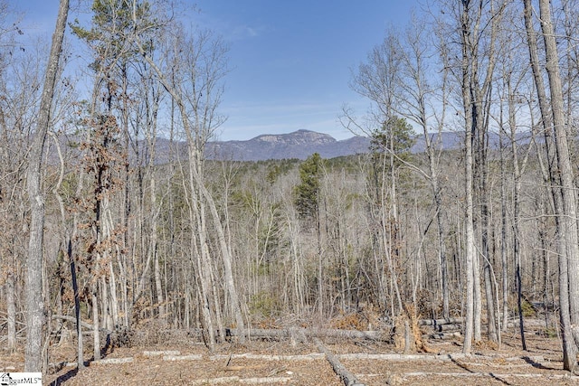 view of mountain backdrop with a forest