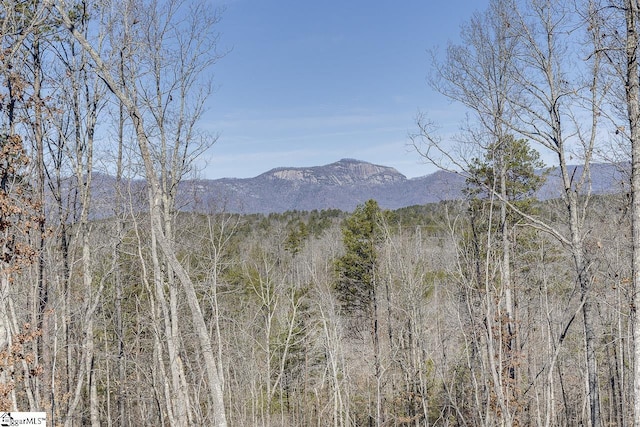 view of mountain background with a forest