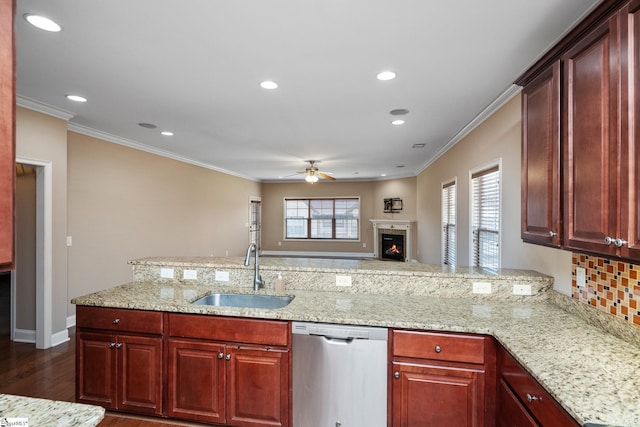 kitchen featuring dishwasher, a sink, a ceiling fan, dark wood finished floors, and ornamental molding