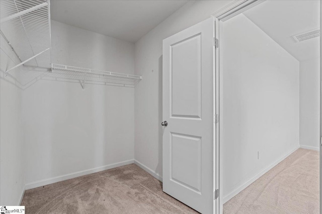 spacious closet featuring carpet