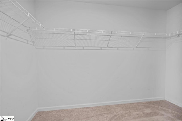 spacious closet with carpet floors